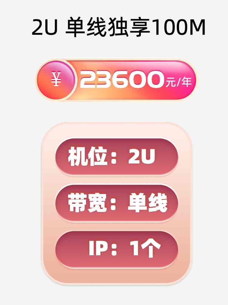 成都2U独享100M服务器托管